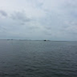 Meet your Posher, Lydia